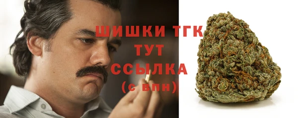 МДПВ Елабуга